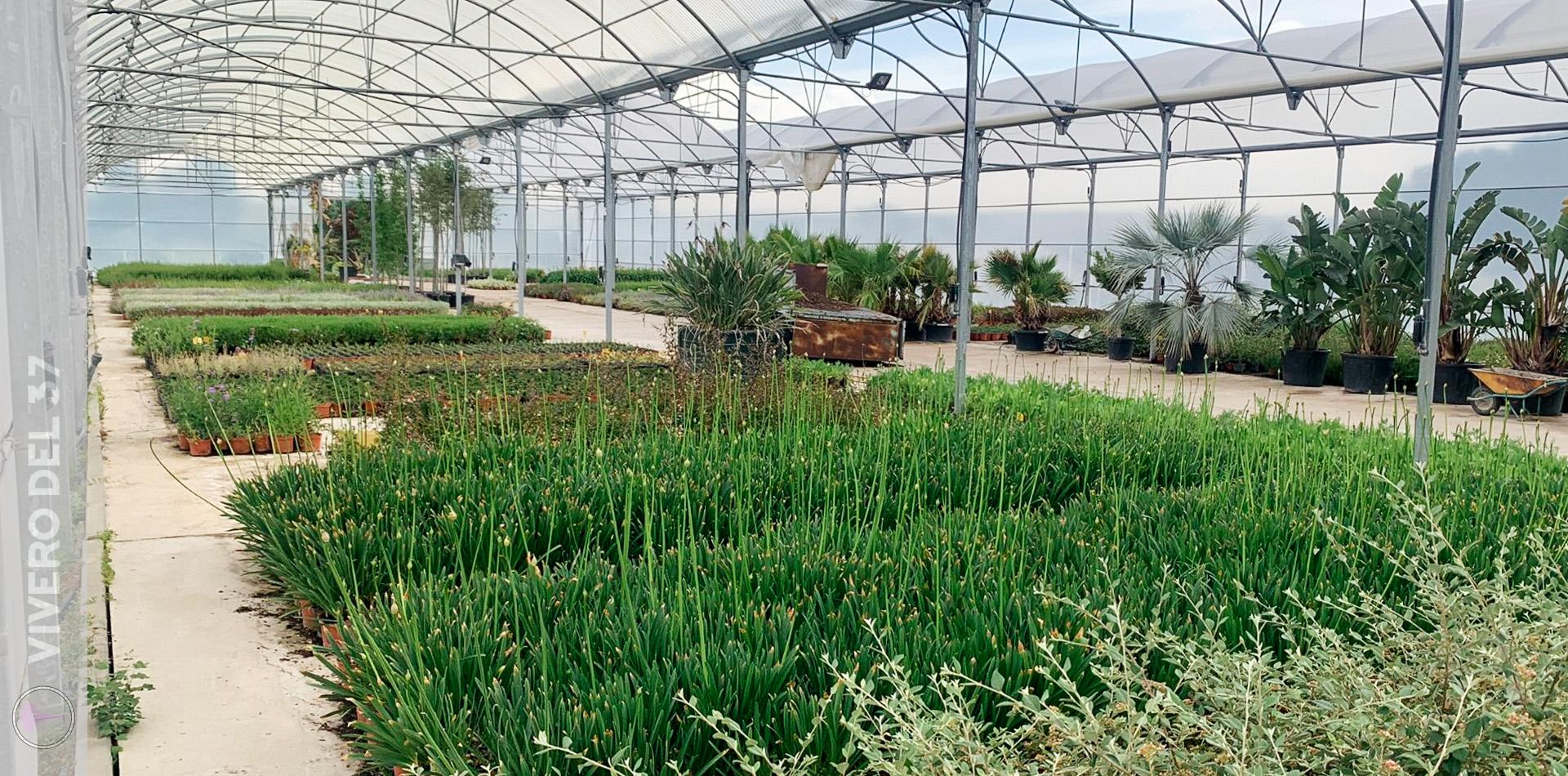 Slider-Vivero-3